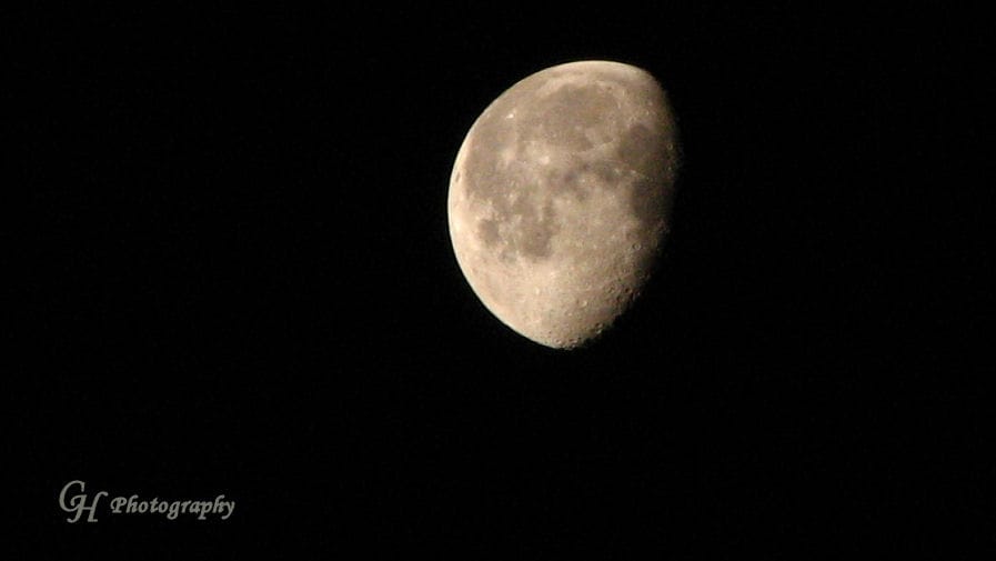 Over the Moon