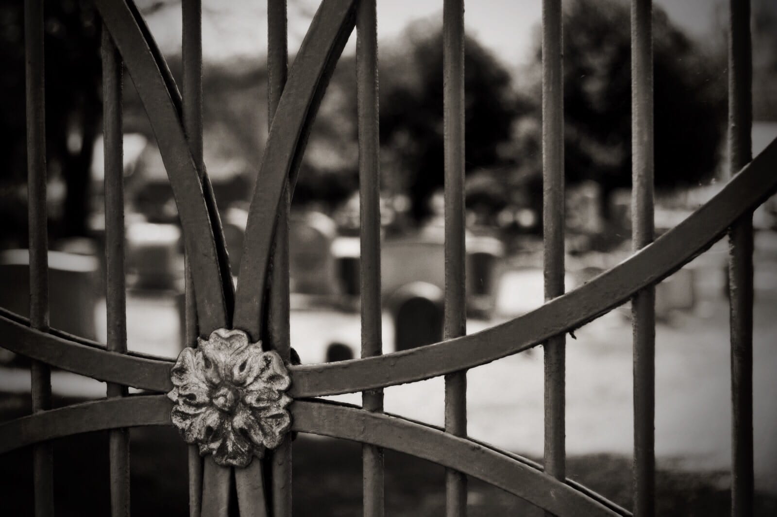 Monday Walkabout – Old Town Fredericksburg