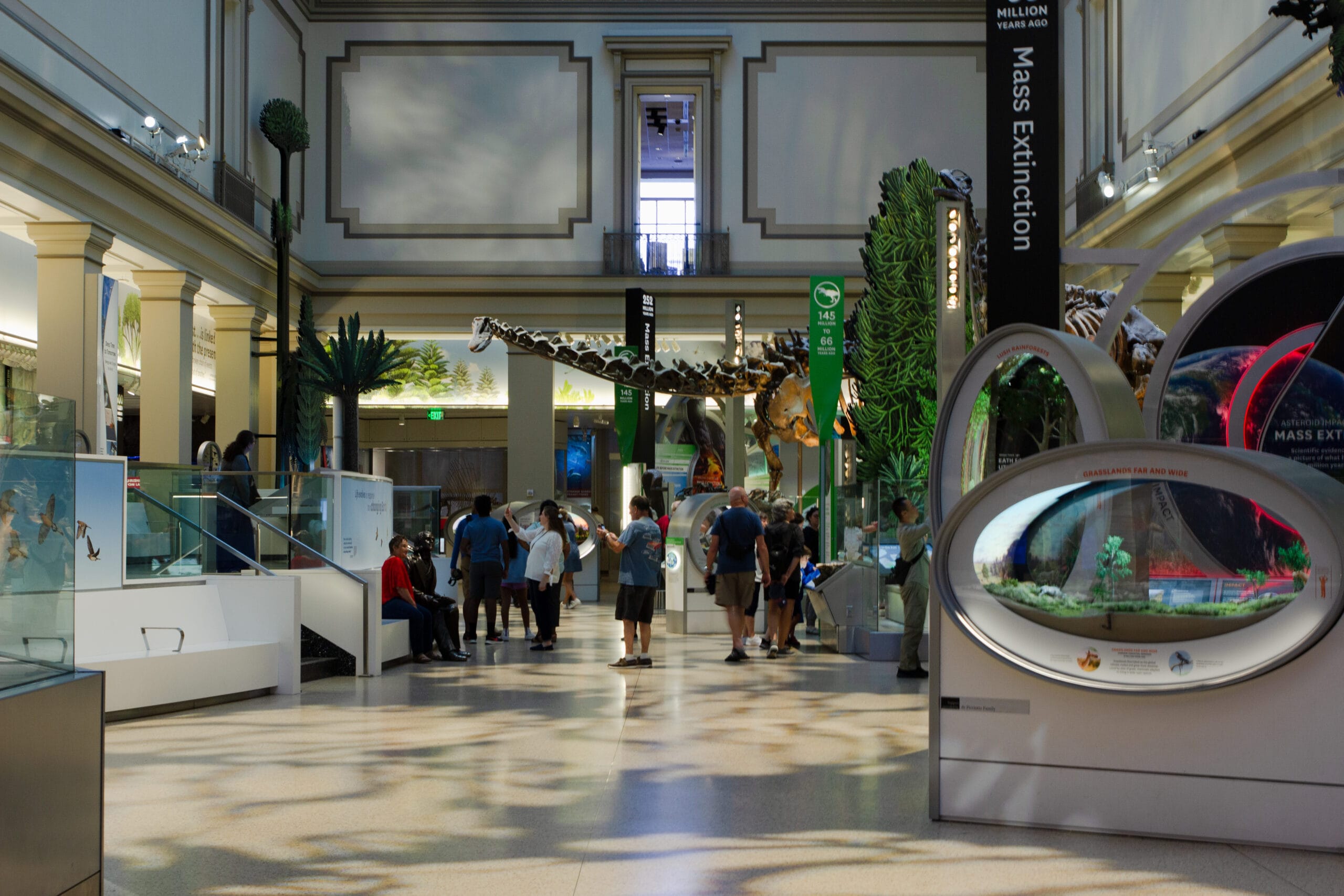 Family Walkabout: National Museum of Natural History
