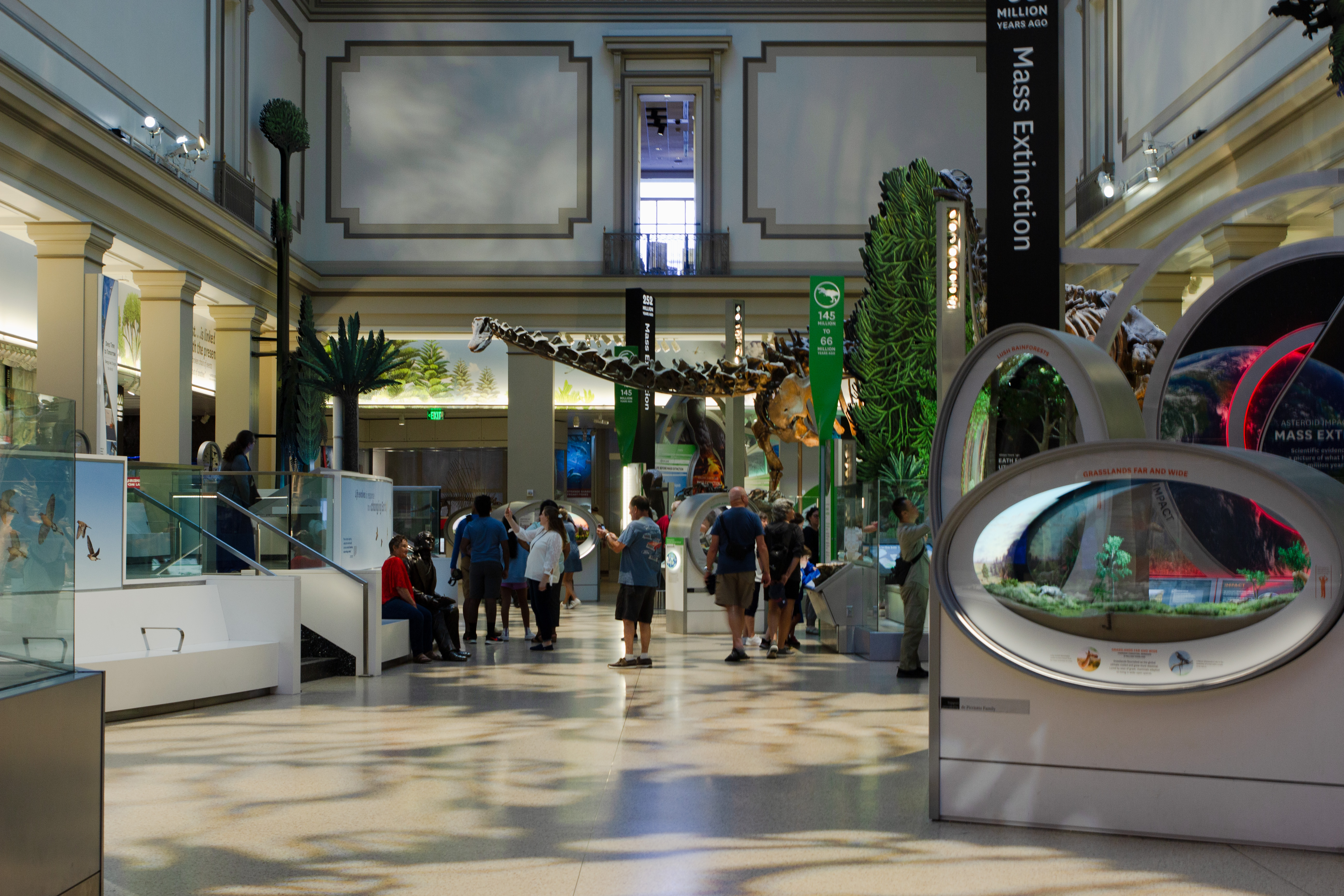 View of a skeleton of Brontosaurus surrounded by green plants in a room of people
